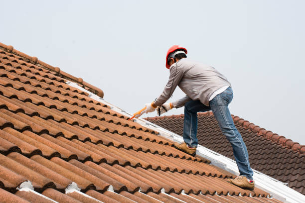 Best Roof Repair  in Osceola, IA